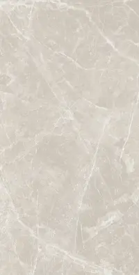 Vizon