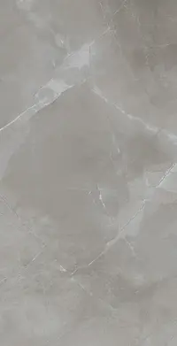 Vizon