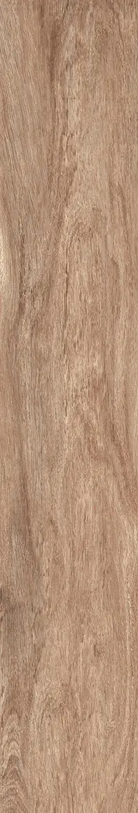 Bambu