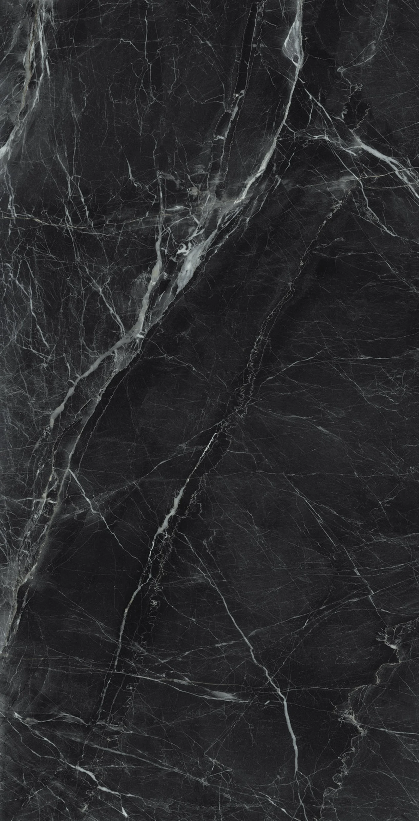 ENZO BLACK detail 1