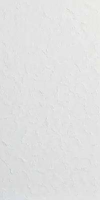 Bone
